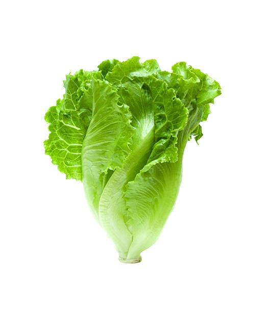 Romaine Lettuce